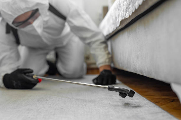 Professional Bed Bug Control technician working in Mercer County County, WV